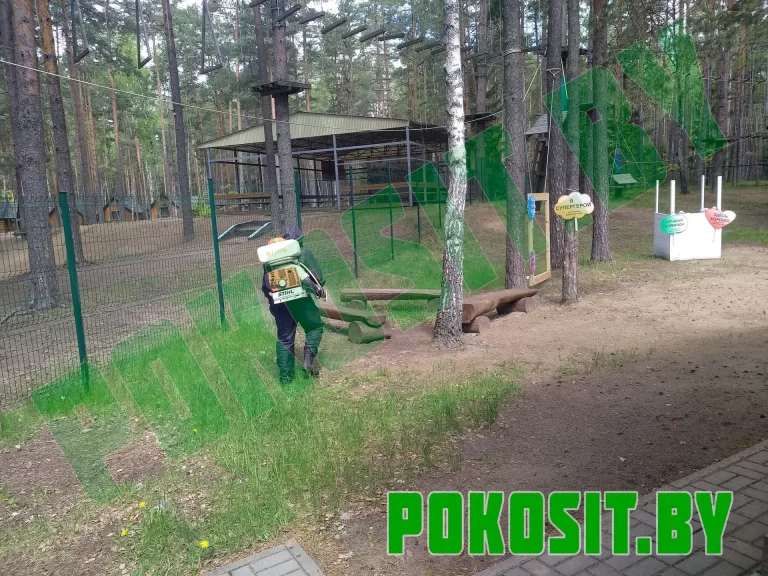 Акарицидная обработка