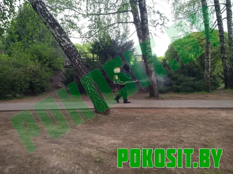 Лечение деревьев