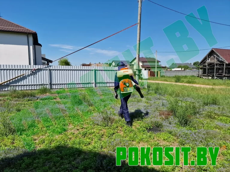 Уничтожение комаров и гнуса на участке