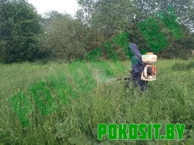 Гербицидная обработка сорной растительности