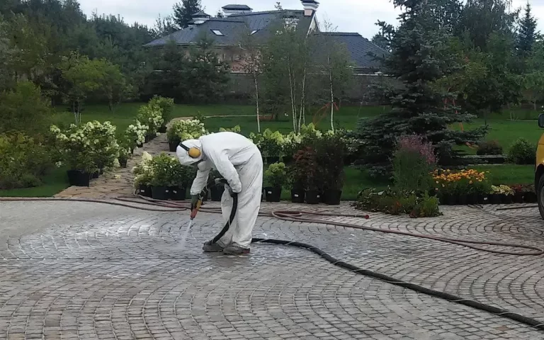 Химическая обработка тротуарной плитки и бордюров от сорняков