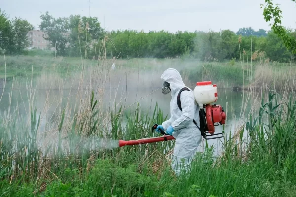 Ларвицидная обработка водоёмов от комаров и гнуса