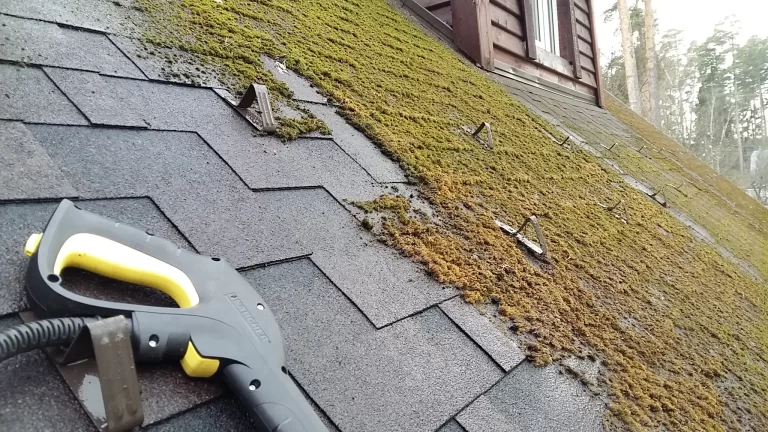 Очистка и защита крыш от мха и лишайника