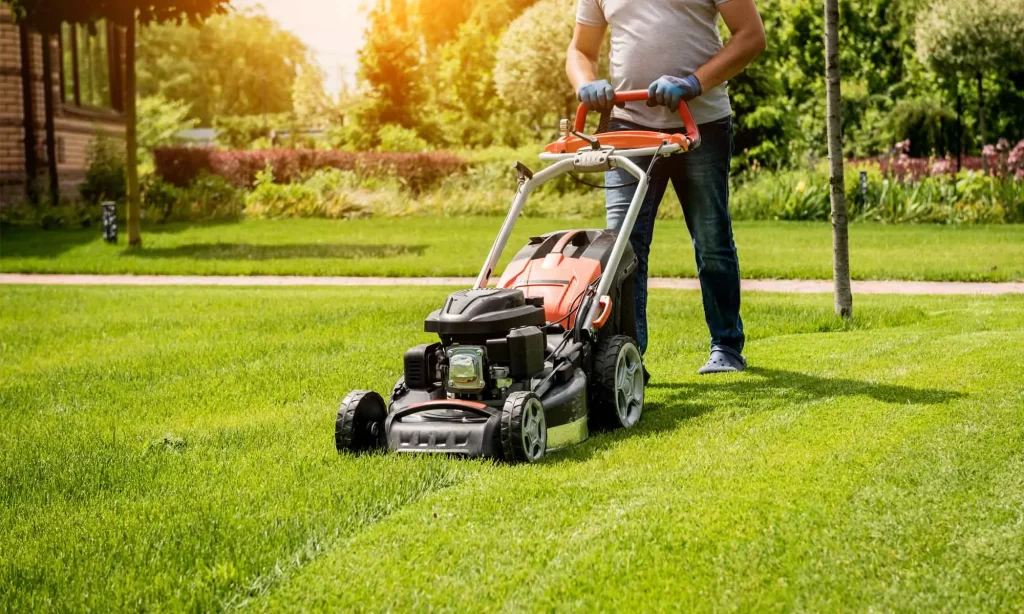 Стрижка газона